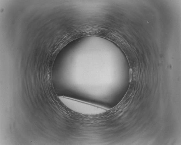 X0000076321298200609290840