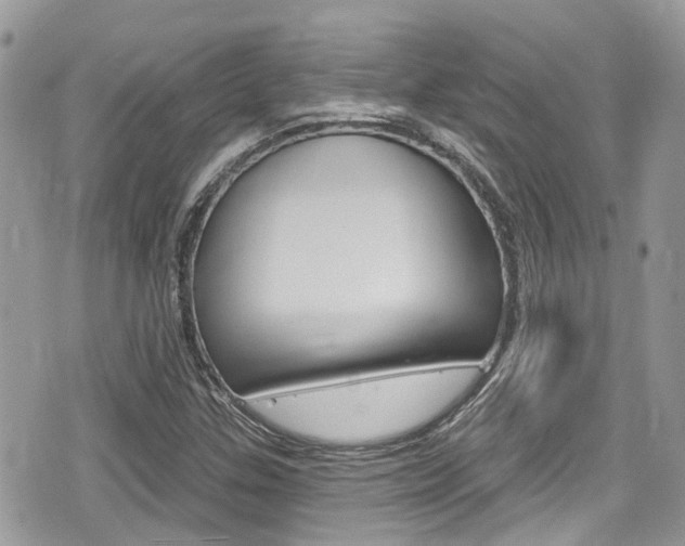 X0000076321307200609290840