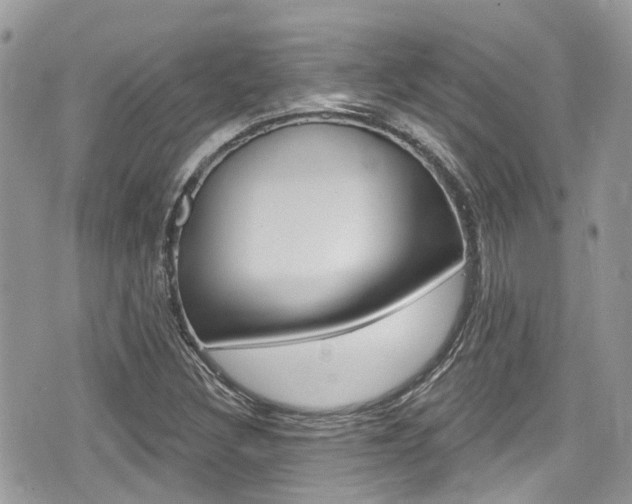 X0000076321308200609290840
