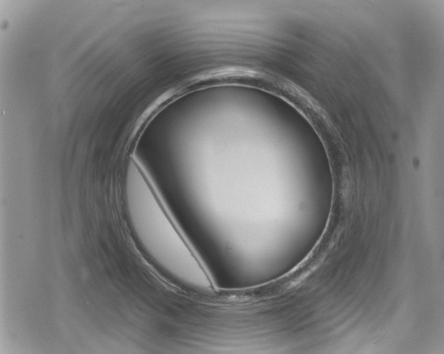 X0000076321321200609290841