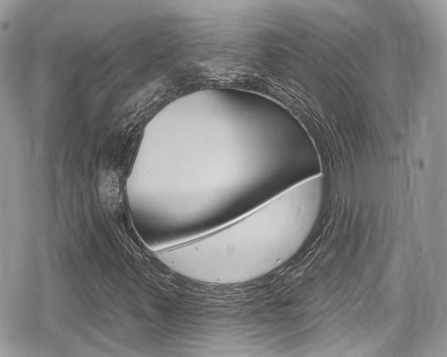 X0000076321347200609290840