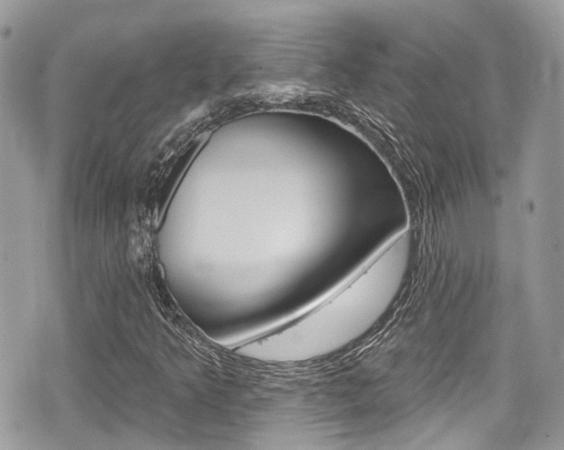X0000076321349200609290840