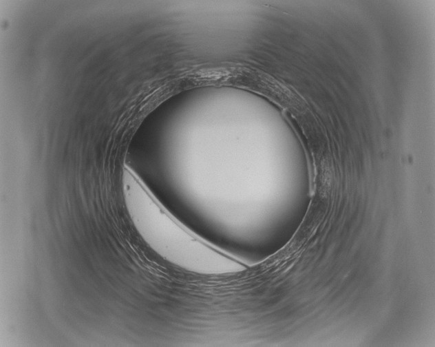 X0000076321394200609290839