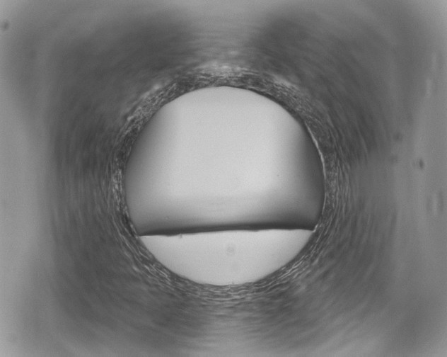 X0000076321397200609290839