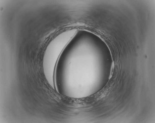X0000076321398200609290839