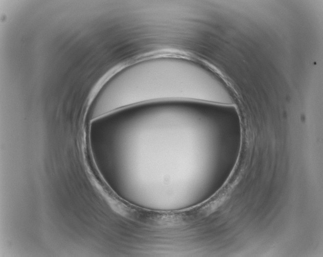 X0000076321418200609290839