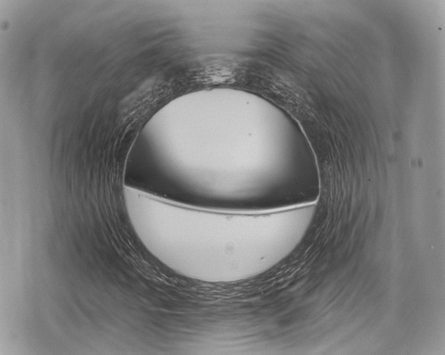 X0000076321442200609290839