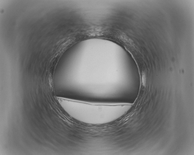 X0000076321444200609290839