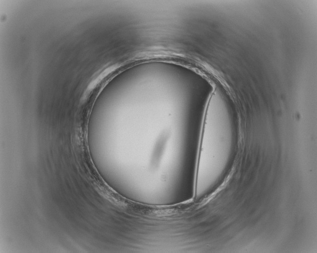 X0000076321453200609290838