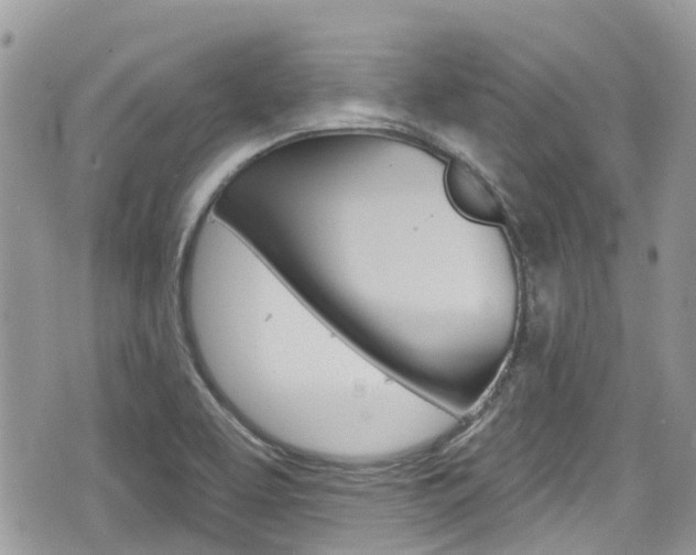 X0000076321463200609290838