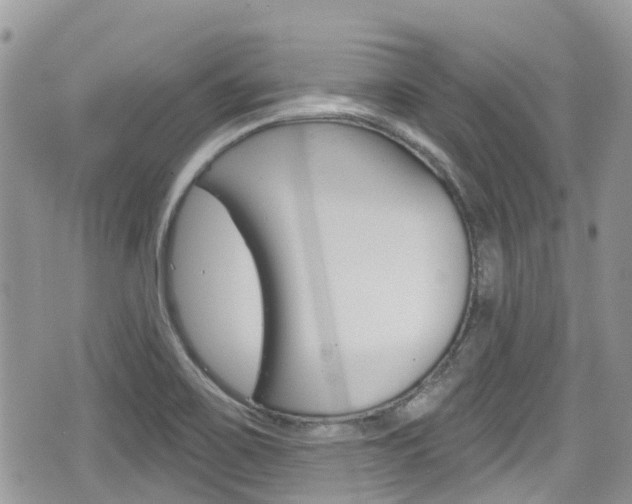 X0000076321467200609290838