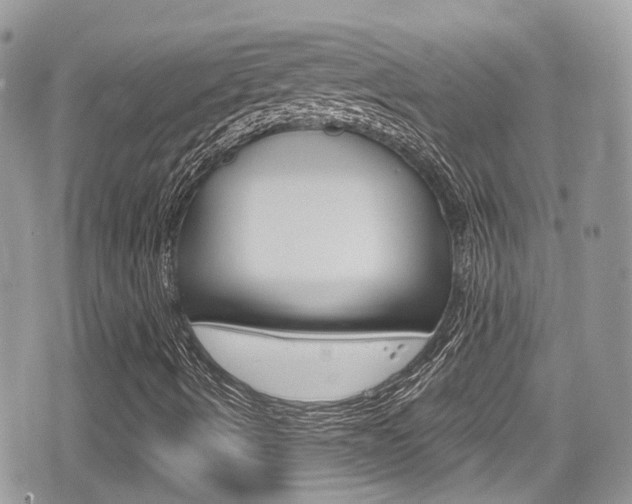 X0000076321490200609290837