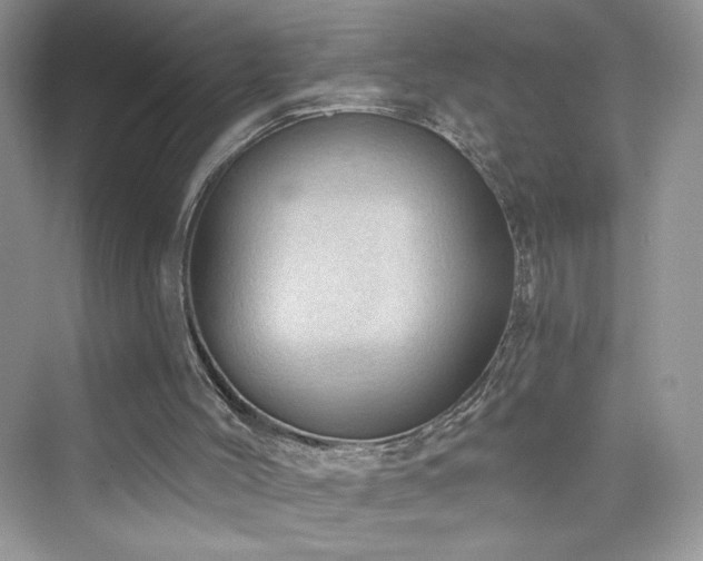 X0000076320004200609291106