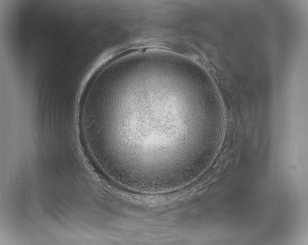 X0000076320006200609291106