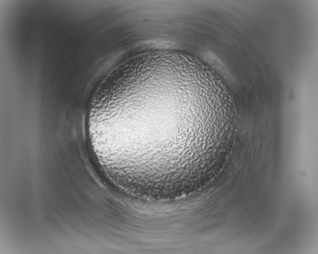X0000076320014200609291106