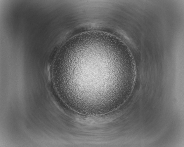 X0000076320022200609291106