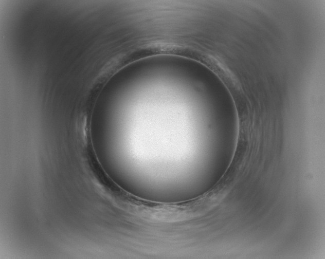 X0000076320024200609291106
