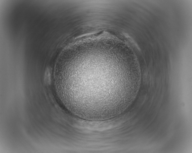 X0000076320026200609291106