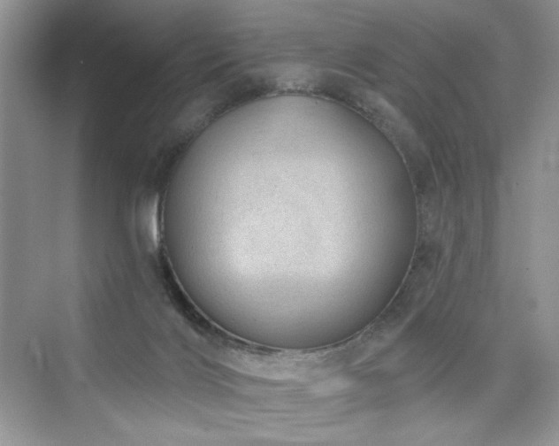 X0000076320028200609291106