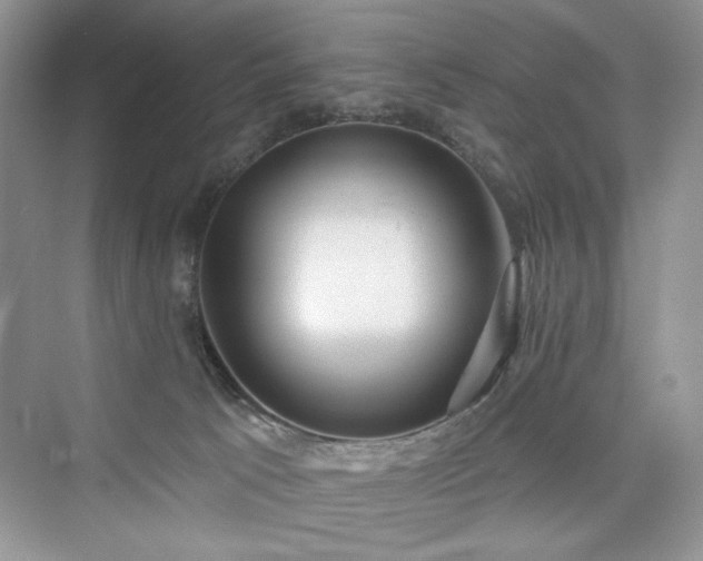 X0000076320033200609291106