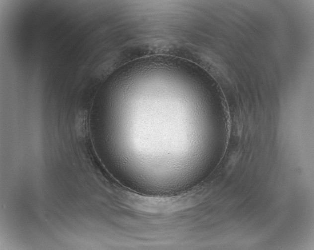 X0000076320034200609291105