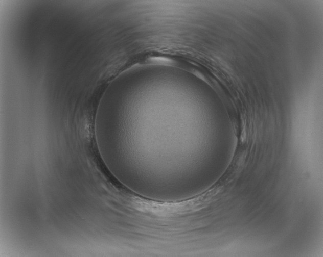 X0000076320039200609291105