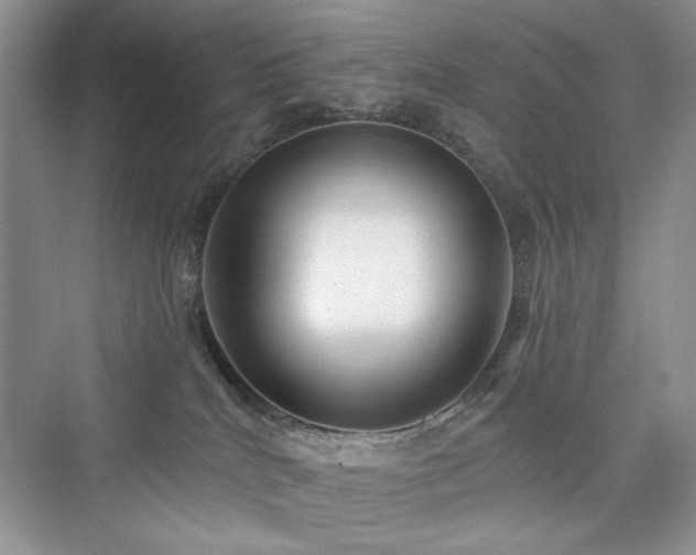 X0000076320040200609291105