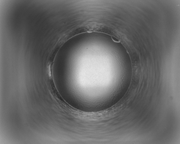 X0000076320042200609291105