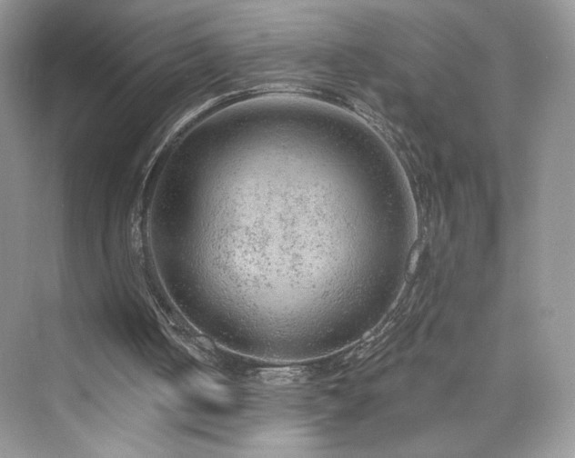 X0000076320050200609291104