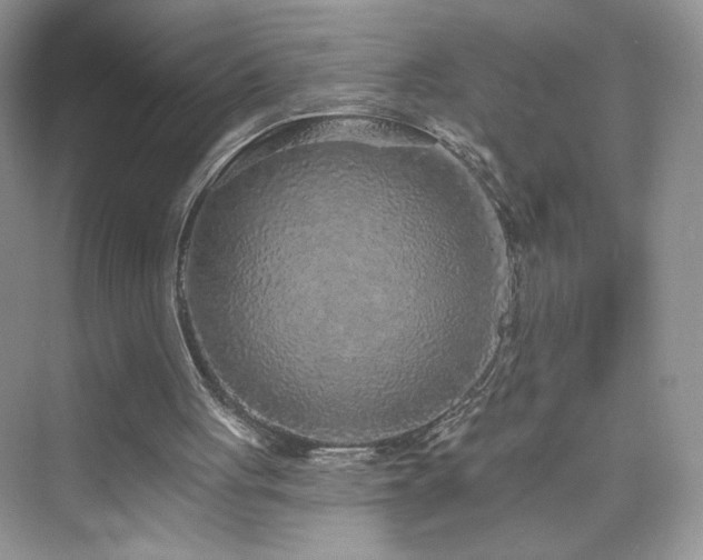 X0000076320051200609291104