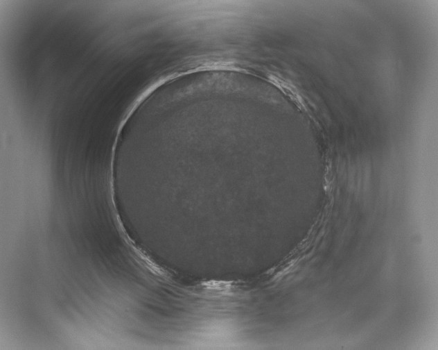X0000076320052200609291104