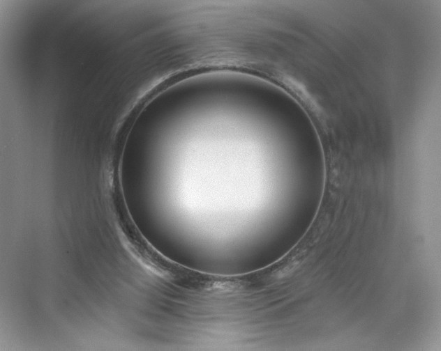 X0000076320060200609291105