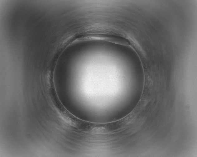 X0000076320066200609291105