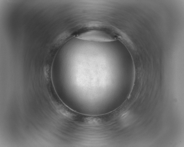 X0000076320073200609291105
