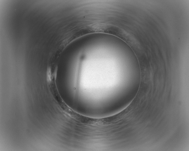 X0000076320075200609291105