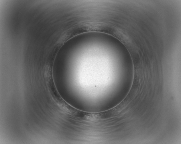 X0000076320079200609291105