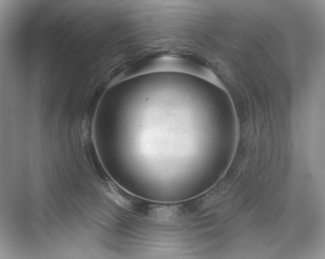 X0000076320081200609291105