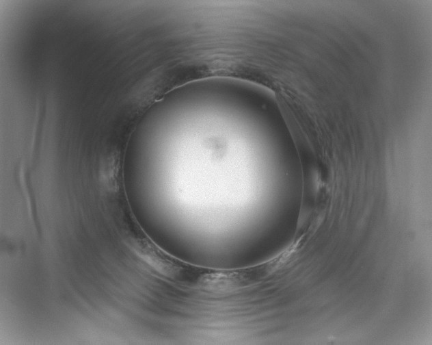 X0000076320082200609291105