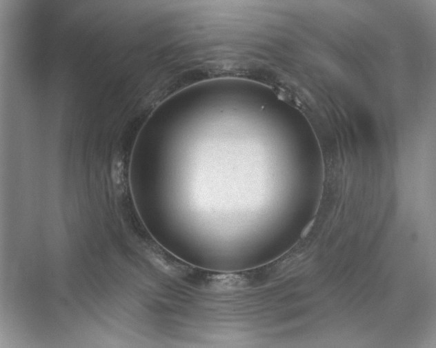 X0000076320087200609291105