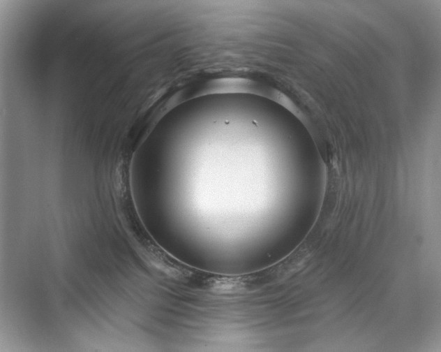 X0000076320088200609291105