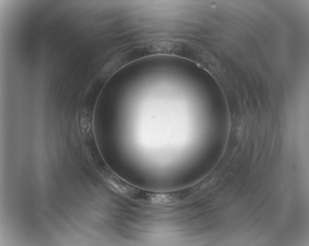 X0000076320091200609291105