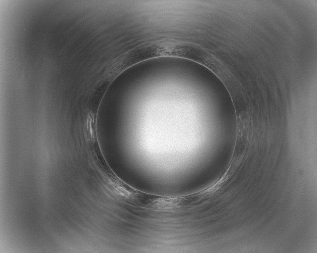 X0000076320094200609291105