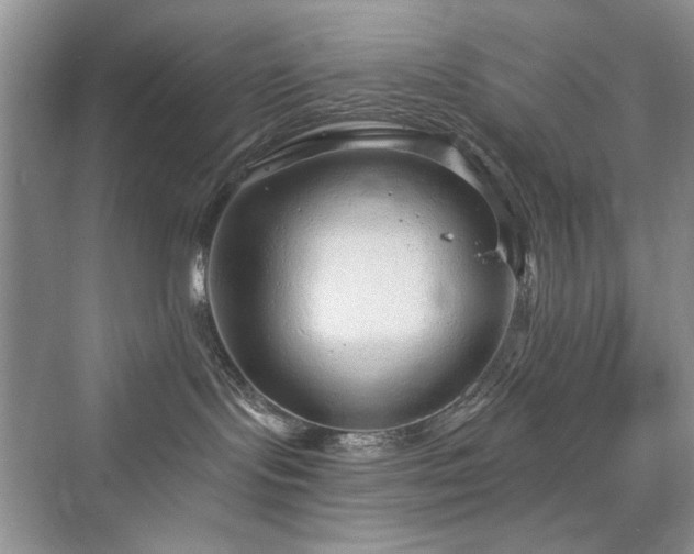 X0000076320095200609291105