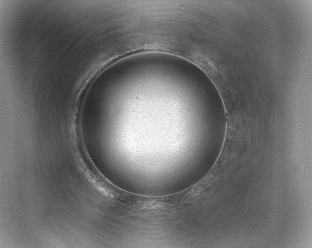 X0000076320098200609291104