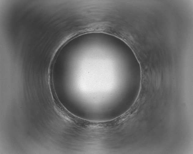 X0000076320100200609291104