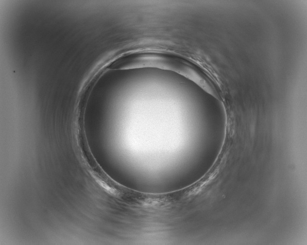 X0000076320101200609291104