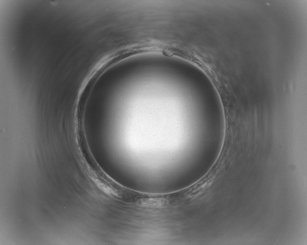 X0000076320102200609291104