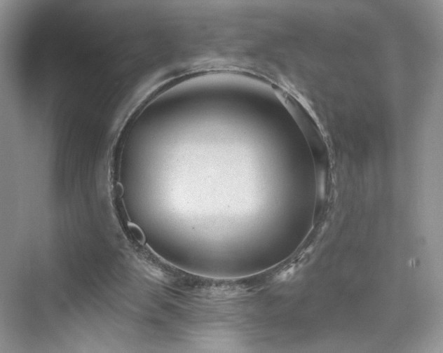 X0000076320103200609291104