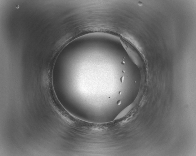 X0000076320105200609291104