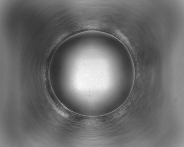 X0000076320106200609291104